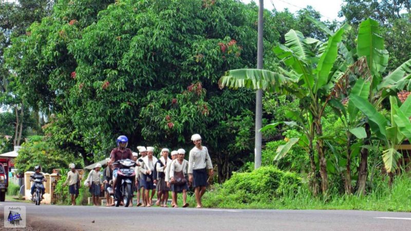 Jalan Kaki Upacara Adat Seba Baduy Sunda Wiwitan